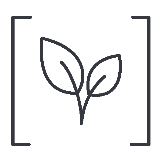 SBT icon