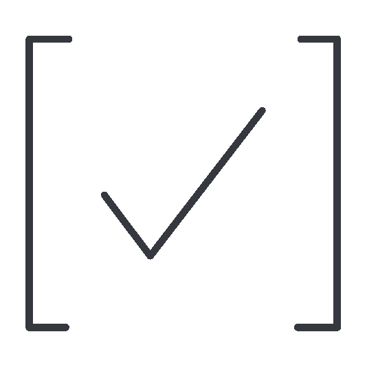SBT Icon check