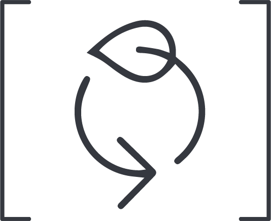 SBT Icon