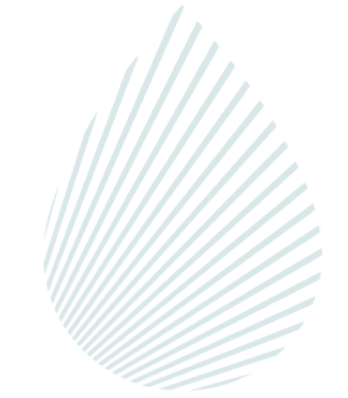 SBT white logo